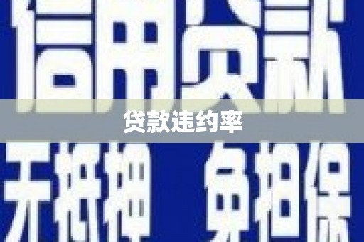 新抚贷款违约率