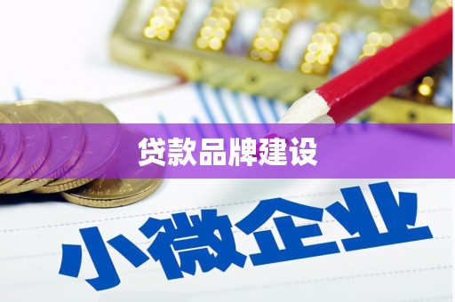 新抚贷款品牌建设