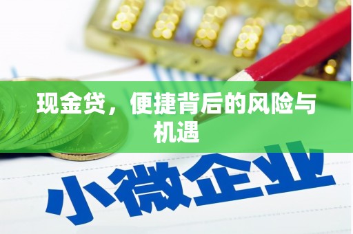新抚现金贷，便捷背后的风险与机遇
