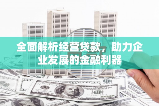 新抚全面解析经营贷款，助力企业发展的金融利器