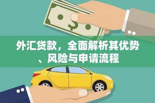 新抚外汇贷款，全面解析其优势、风险与申请流程