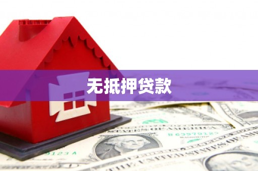 新抚无抵押贷款