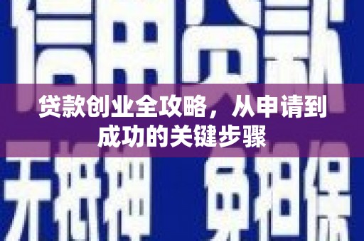 新抚贷款创业全攻略，从申请到成功的关键步骤