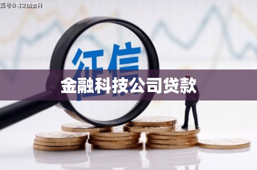 新抚金融科技公司贷款