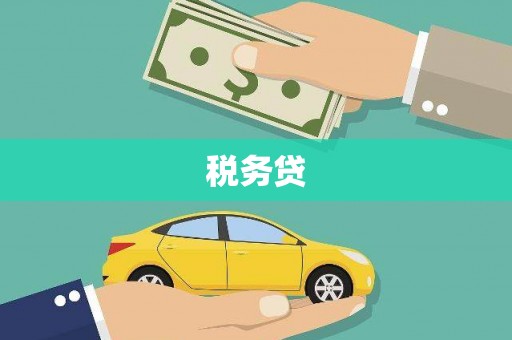 新抚税务贷