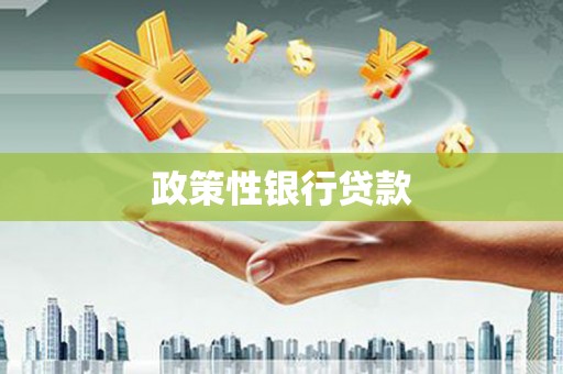 新抚政策性银行贷款