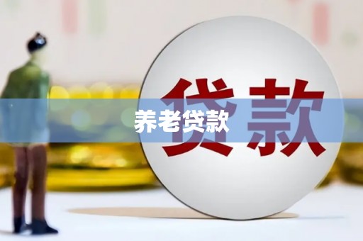 新抚养老贷款