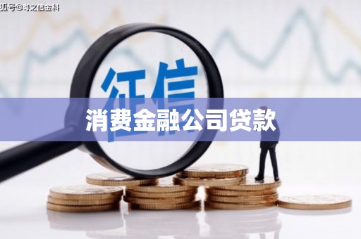 新抚消费金融公司贷款