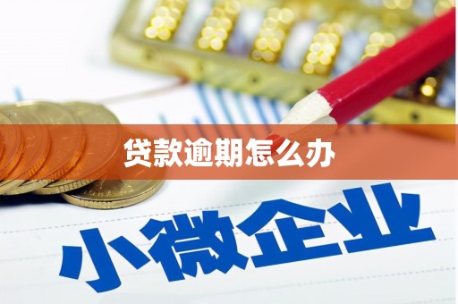 新抚贷款逾期怎么办