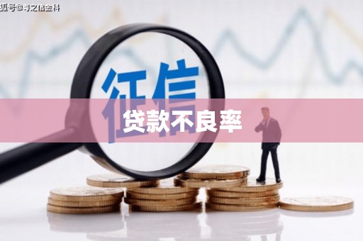 新抚贷款不良率