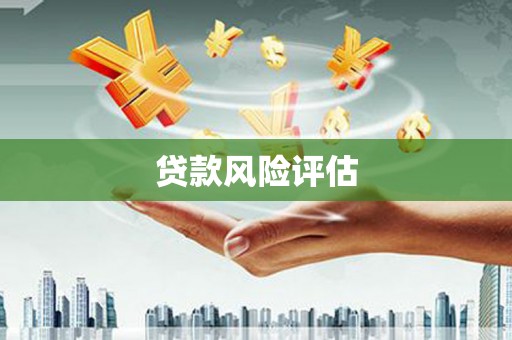 新抚贷款风险评估