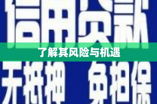 新抚了解其风险与机遇