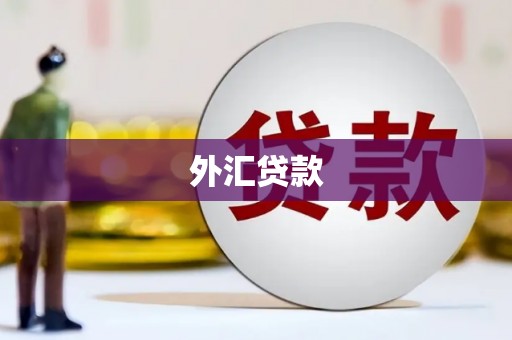 新抚外汇贷款