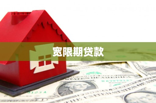 新抚宽限期贷款