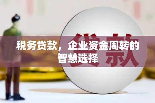 新抚税务贷款，企业资金周转的智慧选择
