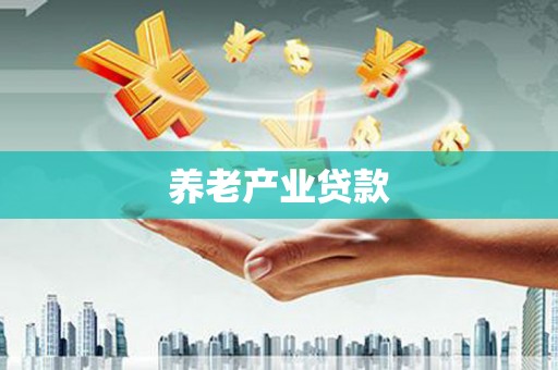 新抚养老产业贷款