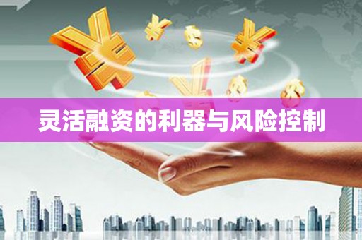 新抚灵活融资的利器与风险控制