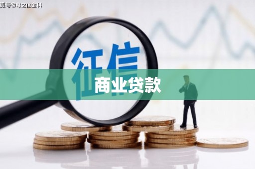 新抚商业贷款