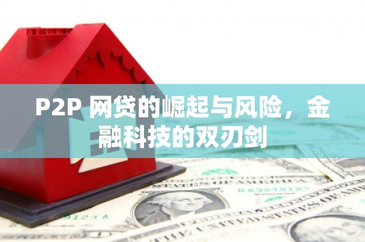 新抚P2P 网贷的崛起与风险，金融科技的双刃剑