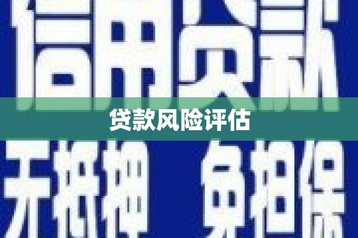 新抚贷款风险评估