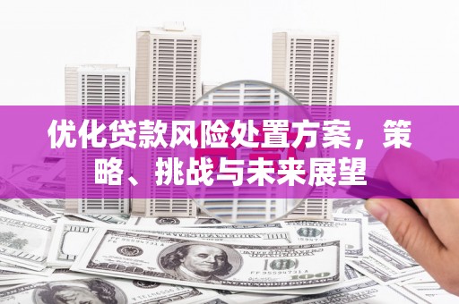 新抚优化贷款风险处置方案，策略、挑战与未来展望