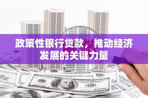 新抚政策性银行贷款，推动经济发展的关键力量