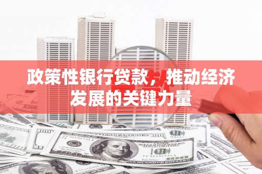 新抚政策性银行贷款，推动经济发展的关键力量