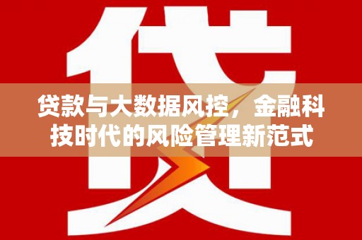 新抚贷款与大数据风控，金融科技时代的风险管理新范式