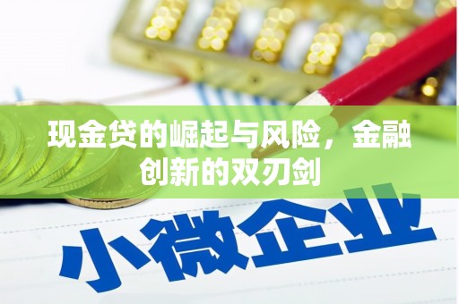 新抚现金贷的崛起与风险，金融创新的双刃剑