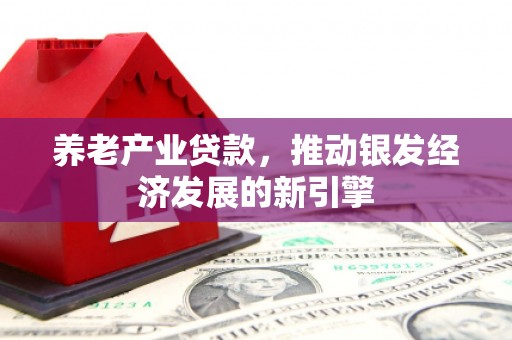 新抚养老产业贷款，推动银发经济发展的新引擎