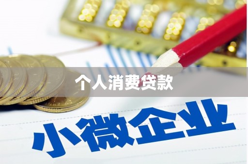 新抚个人消费贷款