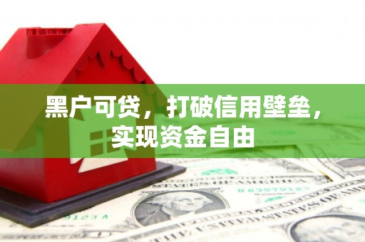 新抚黑户可贷，打破信用壁垒，实现资金自由