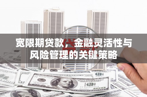 新抚宽限期贷款，金融灵活性与风险管理的关键策略