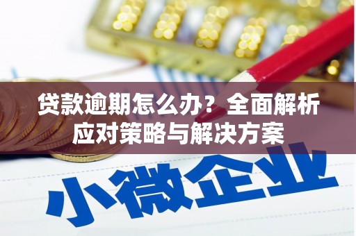 新抚贷款逾期怎么办？全面解析应对策略与解决方案