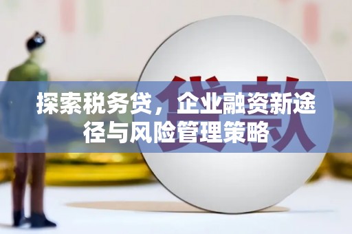 新抚探索税务贷，企业融资新途径与风险管理策略