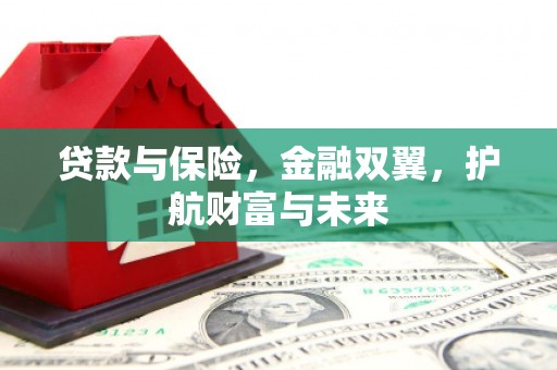 新抚贷款与保险，金融双翼，护航财富与未来