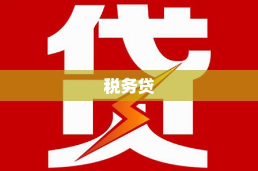 新抚税务贷