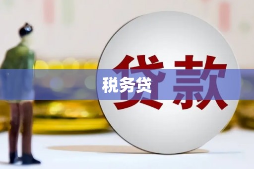 新抚税务贷