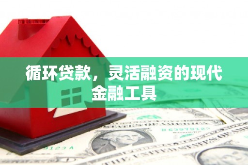 新抚循环贷款，灵活融资的现代金融工具