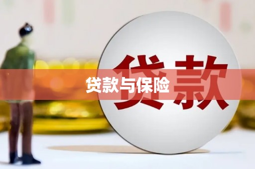 新抚贷款与保险
