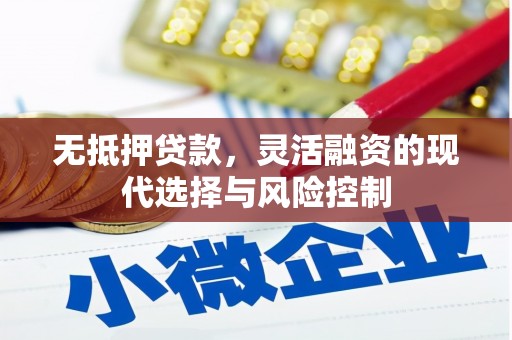 新抚无抵押贷款，灵活融资的现代选择与风险控制