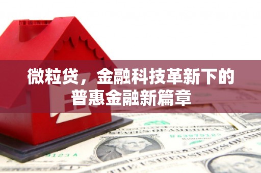 新抚微粒贷，金融科技革新下的普惠金融新篇章