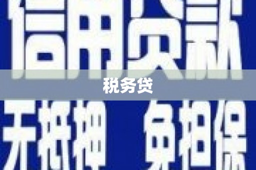 新抚税务贷