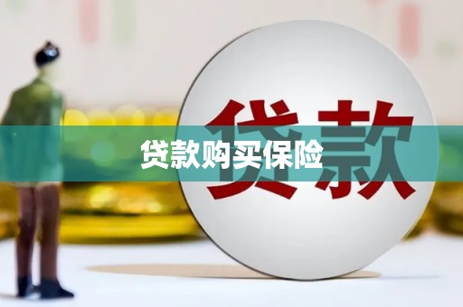 新抚贷款购买保险