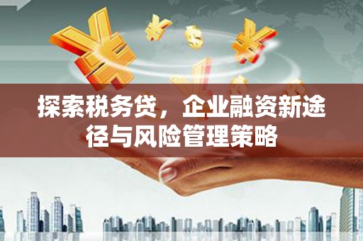 新抚探索税务贷，企业融资新途径与风险管理策略