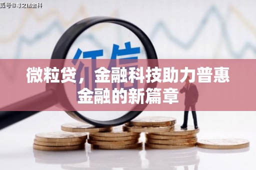 新抚微粒贷，金融科技助力普惠金融的新篇章