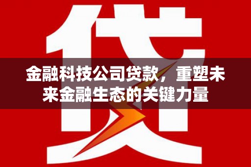 新抚金融科技公司贷款，重塑未来金融生态的关键力量