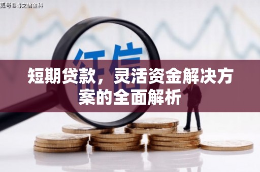 新抚短期贷款，灵活资金解决方案的全面解析