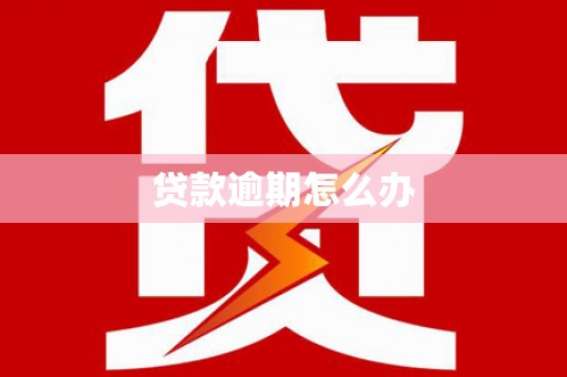 新抚贷款逾期怎么办