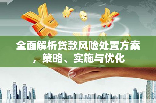 新抚全面解析贷款风险处置方案，策略、实施与优化